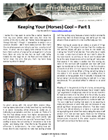 Keeping Your (Horses) Cool - Part 1 Small Image