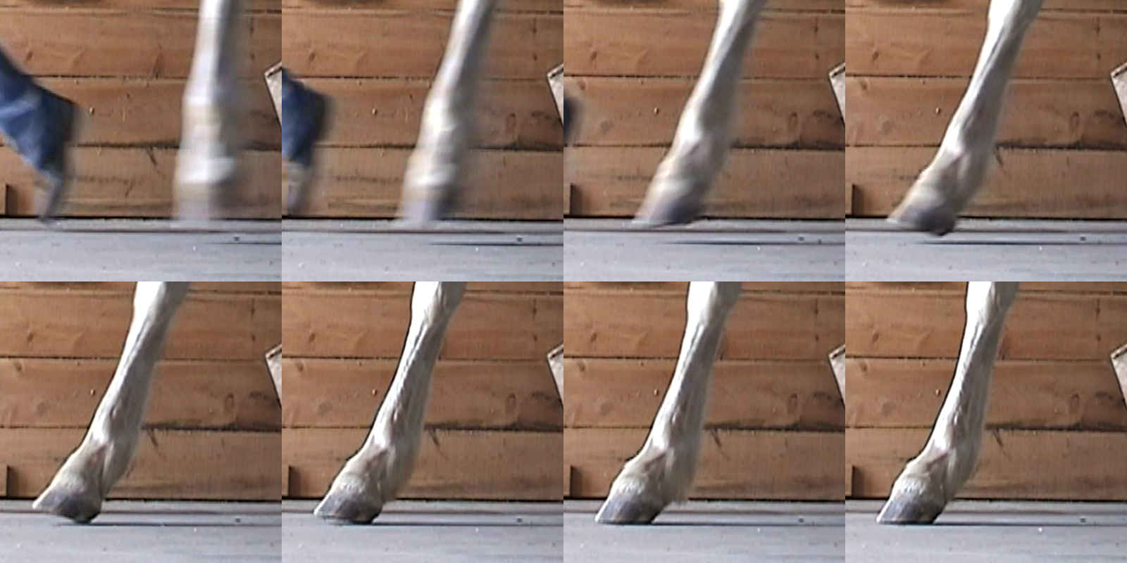 photo sequence of a heel-first landing on a bare hoof