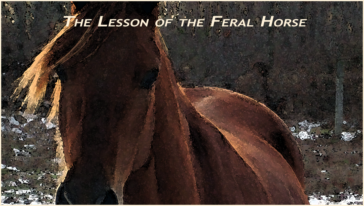 The Lesson - First