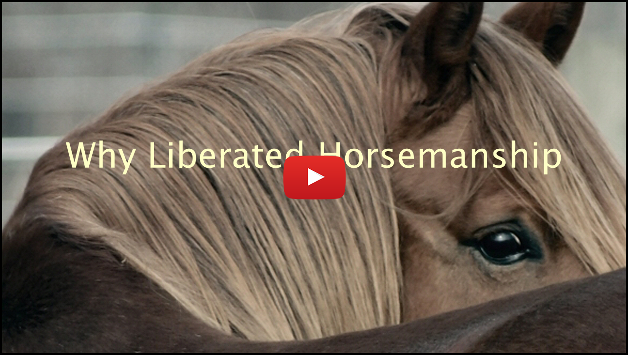 Why Liberated Horsemanship YouTube Video
