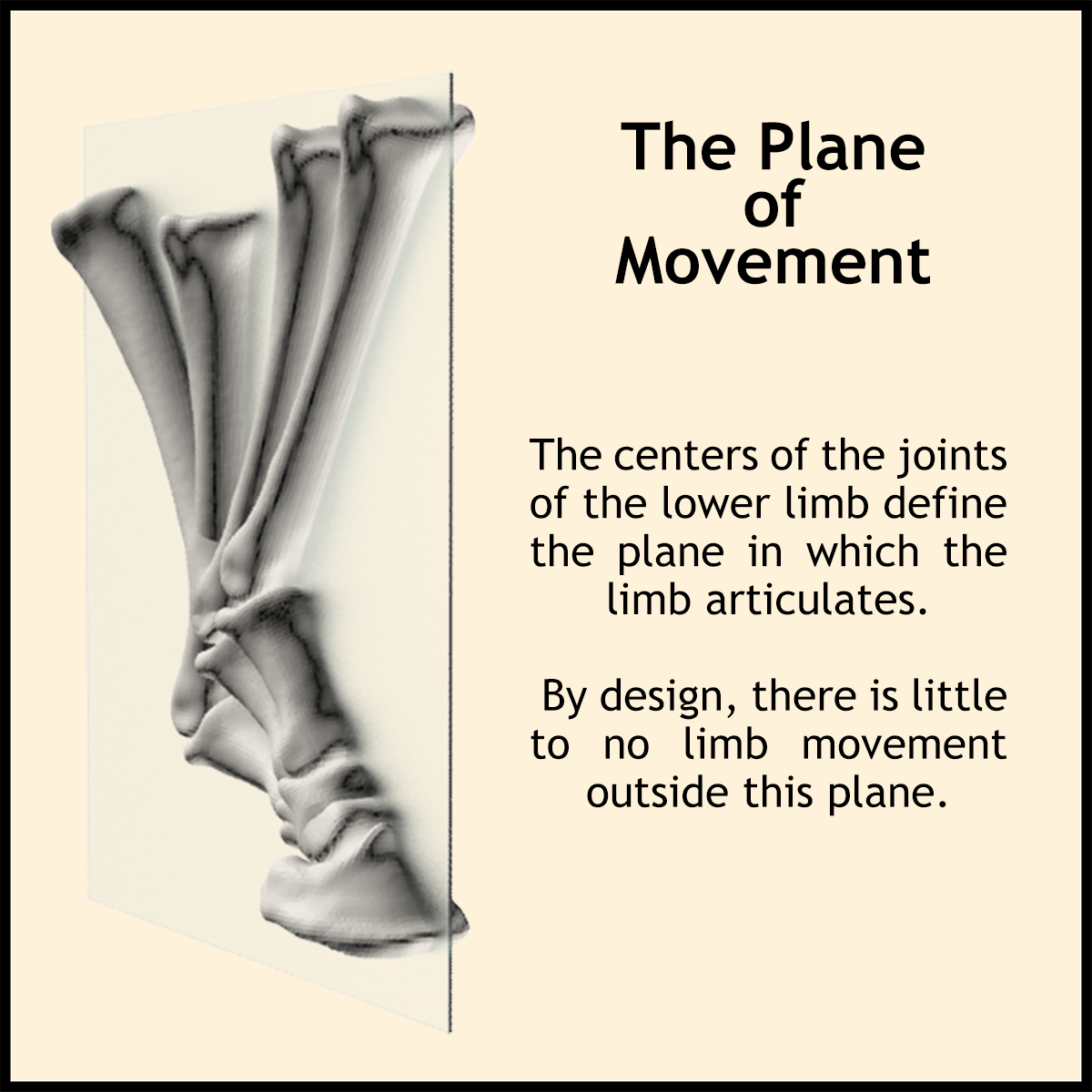 The Plane of Movement