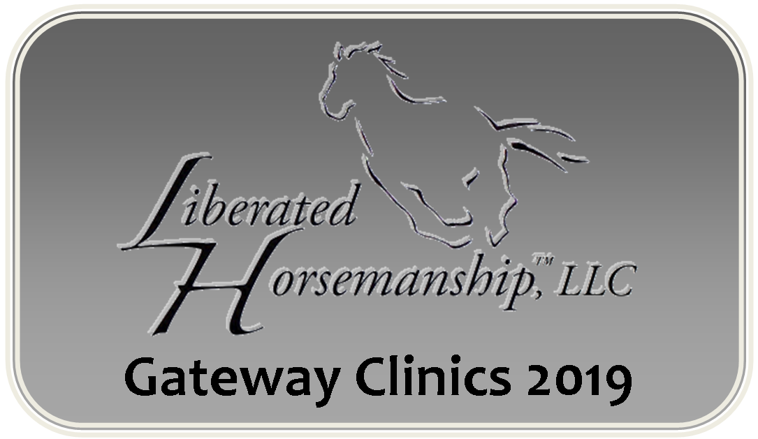 LH clinics logo