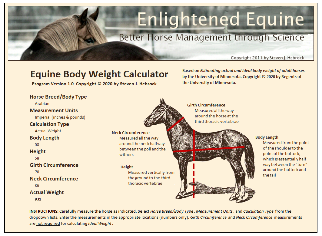 Calories 101 Part 2 How Much Should I Feed Enlightened Equine